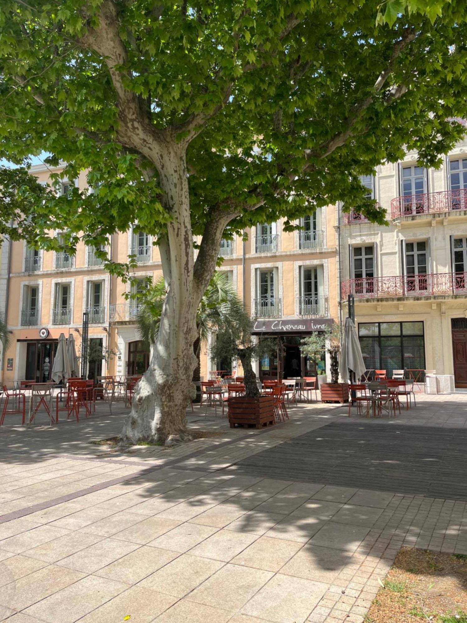 Joli Appartement Hypercentre T2, Classe Meuble De Tourisme 3 Avec Parking Gratuit Безье Экстерьер фото